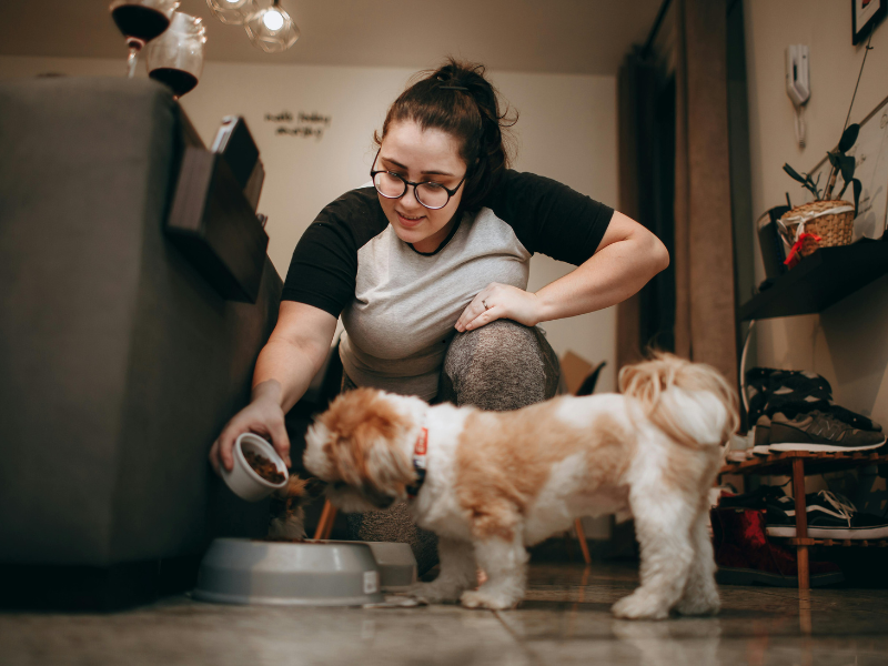 Woman feeding her small dog at home, showing daily pet care and balanced nutrition