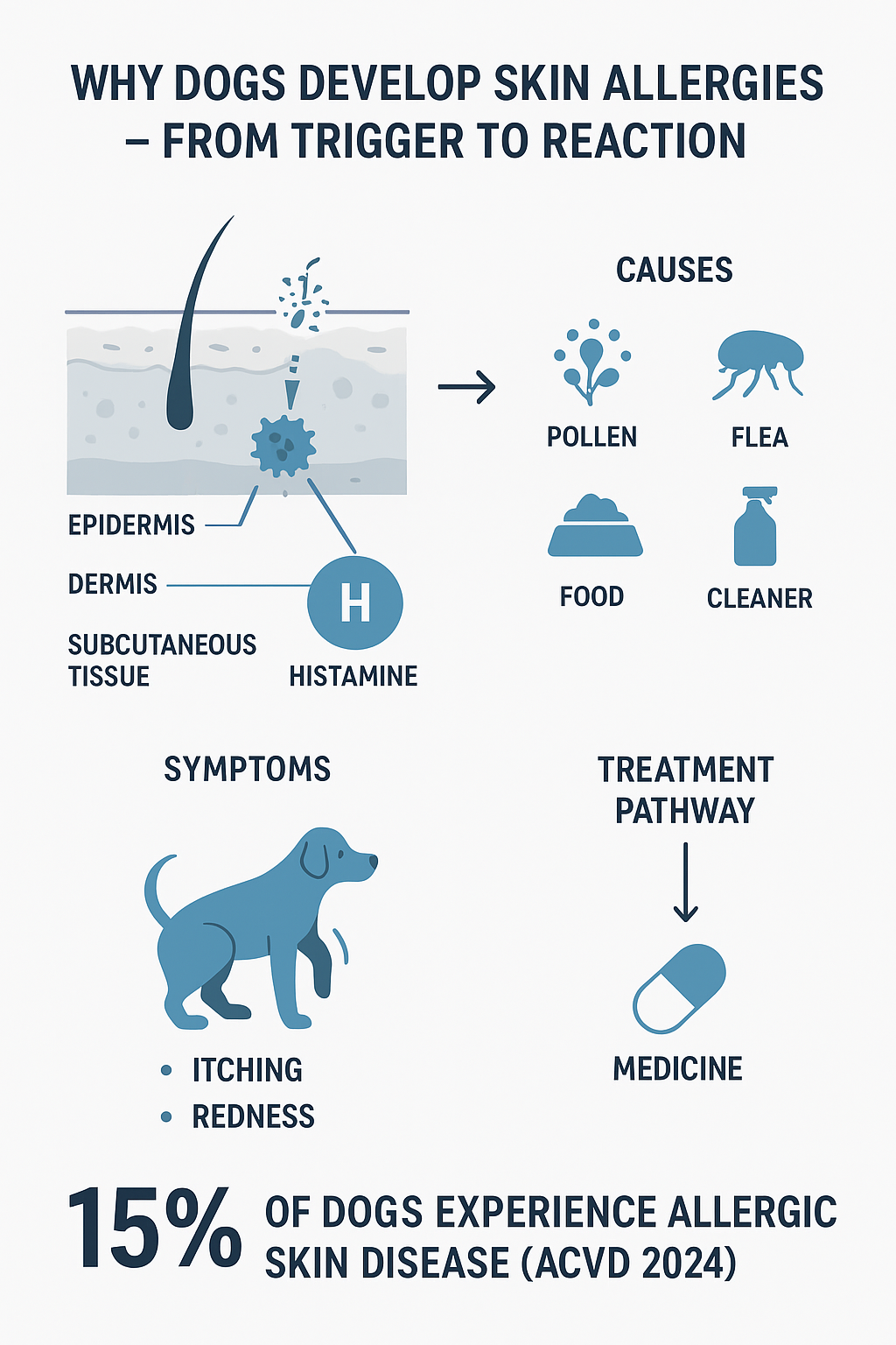 Vet-style infographic explaining why dogs develop skin allergies — showing causes like pollen, fleas, food, and cleaners, with symptoms such as itching and redness, and treatment options for allergic skin disease.