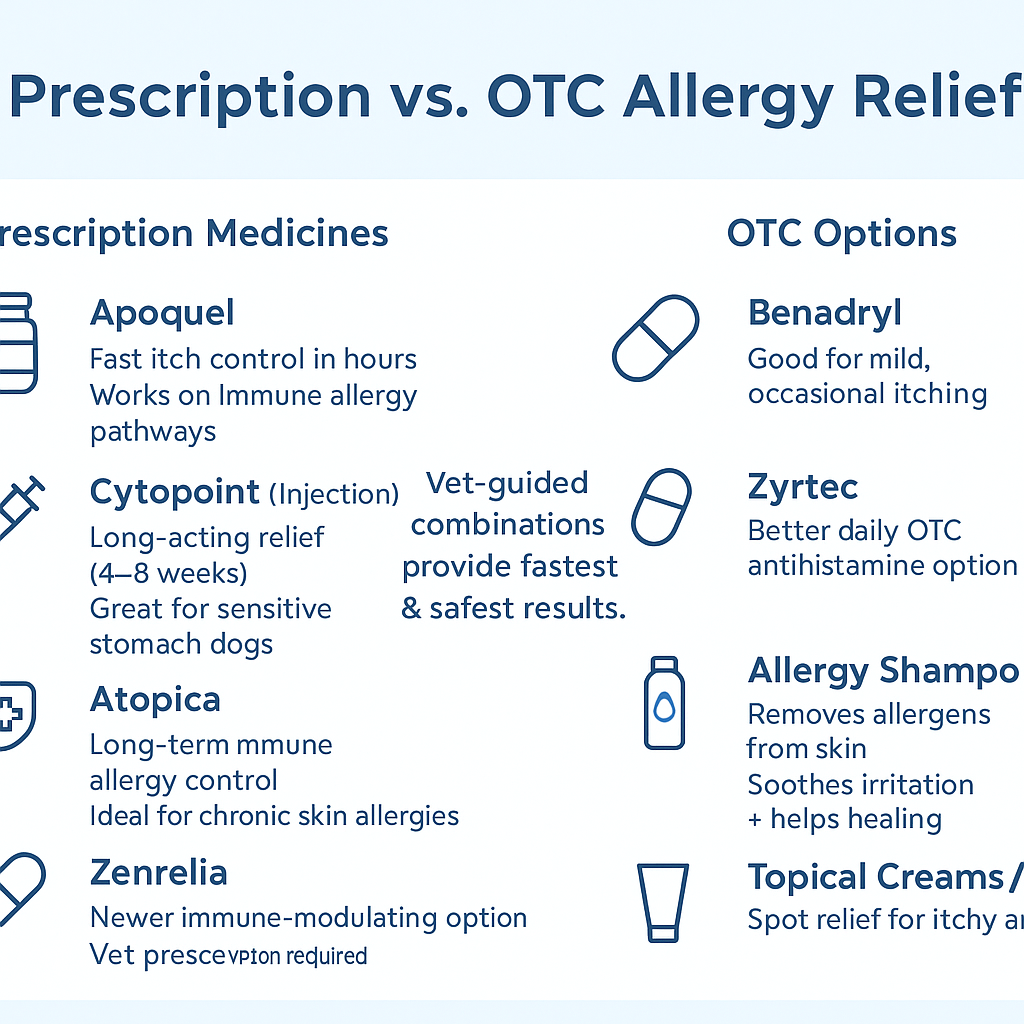 Infographic comparing prescription and OTC dog allergy treatments, including Apoquel, Cytopoint, Atopica, Zenrelia vs Benadryl, Zyrtec, allergy shampoos, and topical creams, with note that vet-guided combinations provide safest results.