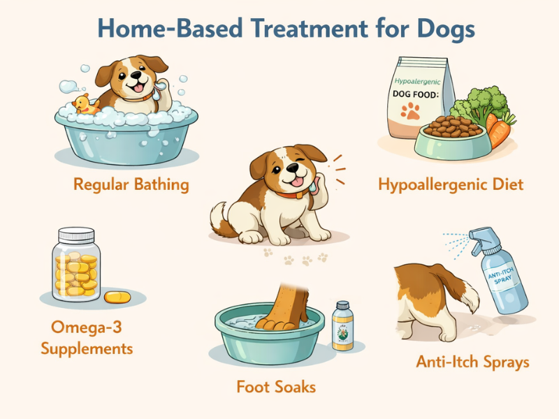 Home-based treatment for dogs showing regular bathing, hypoallergenic diet, omega-3 supplements, foot soaks, and anti-itch sprays