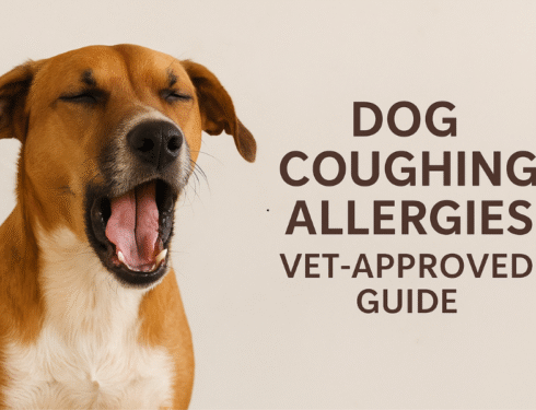 Yawning brown-and-white dog on beige background with text: “Dog Coughing Allergies Vet-Approved Guide.” Calm, informative tone.