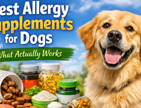 Best allergy supplements for dogs that help reduce itching, support skin health, and improve immune balance naturally