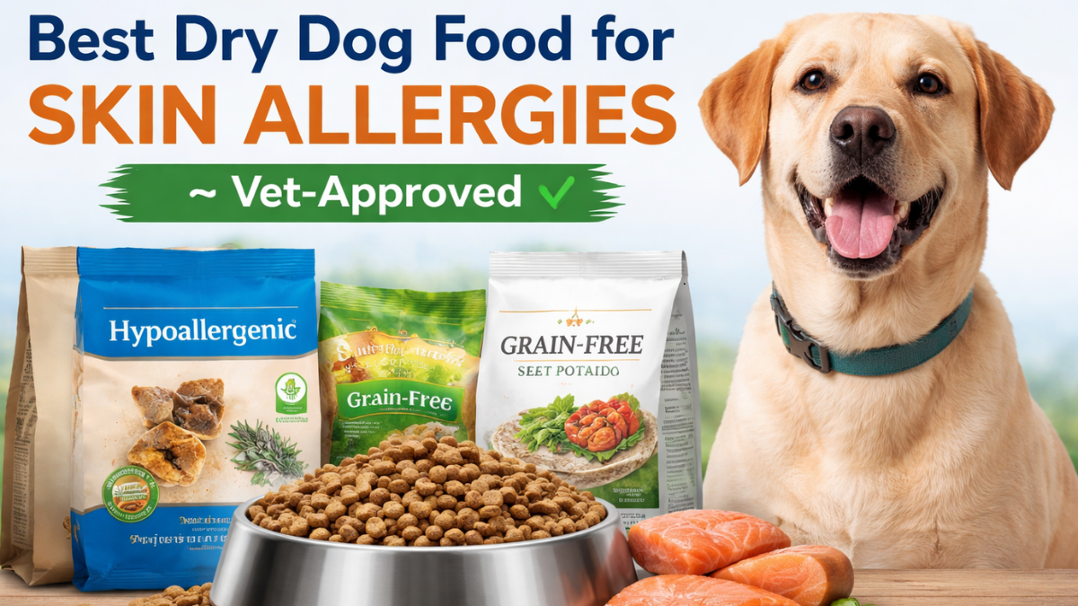 best dog food and water bowl mats G-Floor Drip & Dry 12