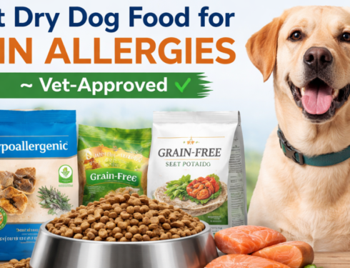 Best vet-approved dry dog food for skin allergies featuring a happy dog, hypoallergenic kibble bags, and healthy salmon food.